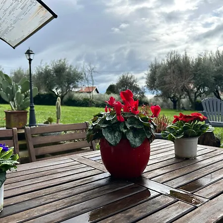 Casa Holly
